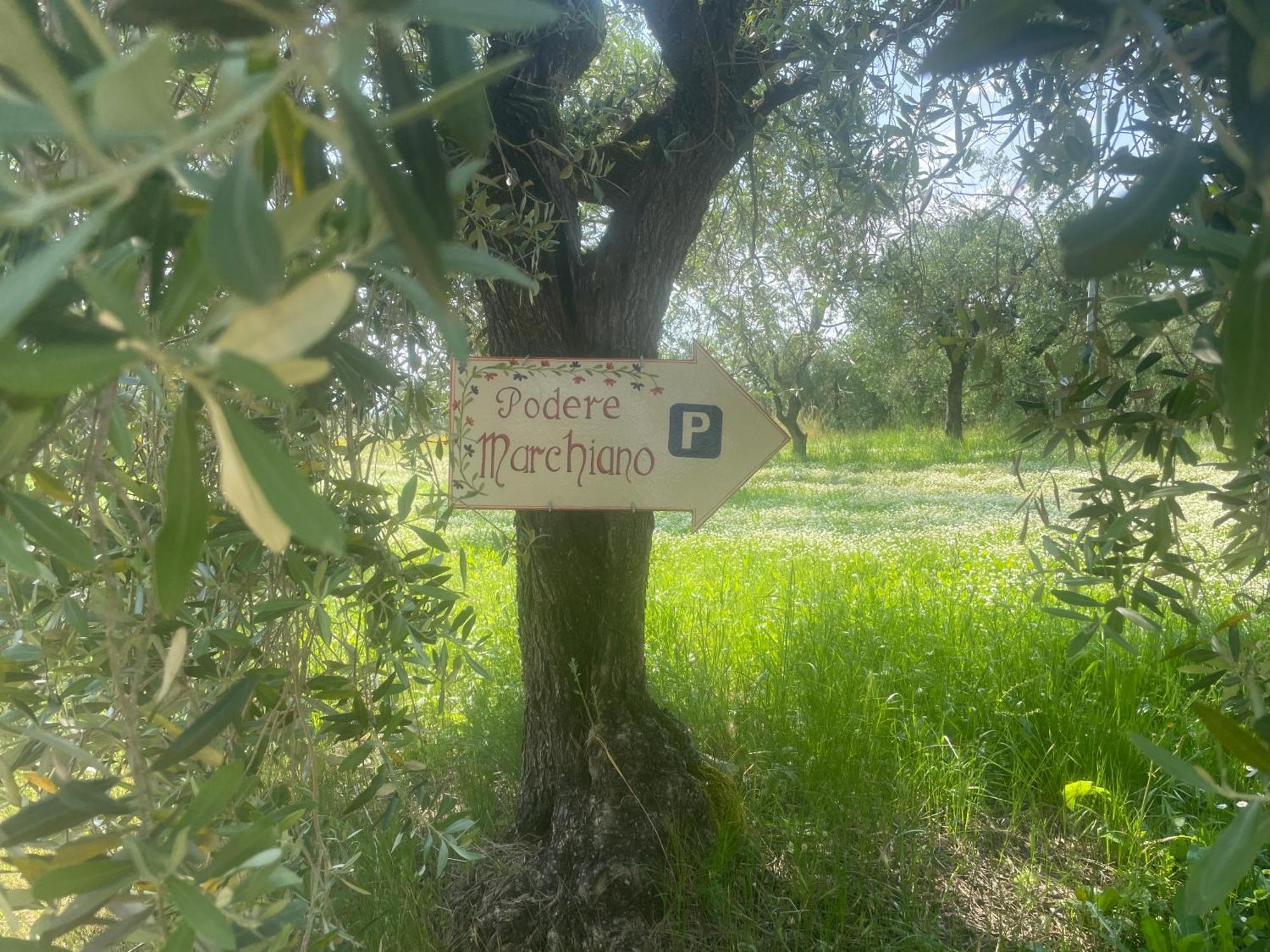 Agriturismo Podere Marchiano Larciano Exterior foto